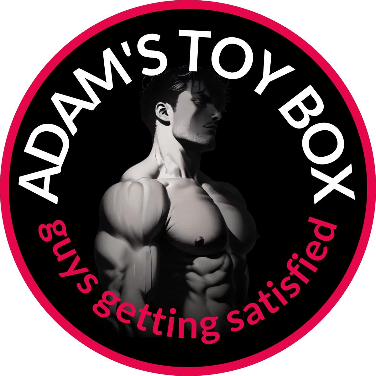 Adam's Toy Box Coupons and Promo Code