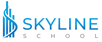 Skyline Online Coupons and Promo Code