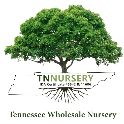 TN Nursery Coupons and Promo Code