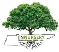Wholesale Nursery Coupons and Promo Code